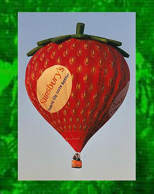 Sainsburys              berry