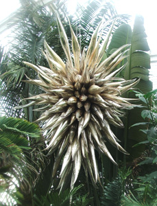 Chandalier in Palm house