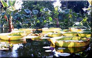 Val Rahmeh garden          scene